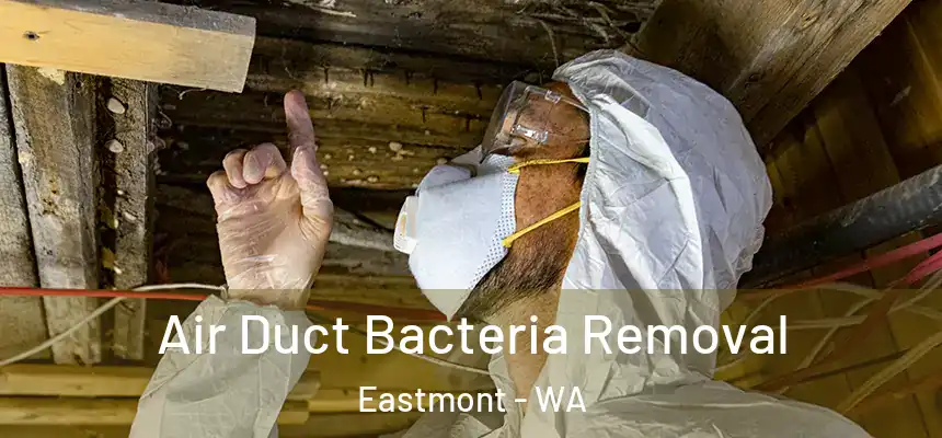  Air Duct Bacteria Removal Eastmont - WA