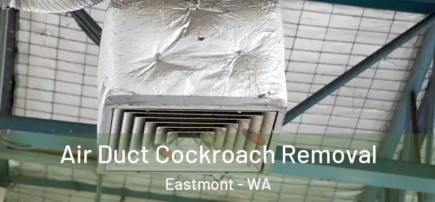  Air Duct Cockroach Removal Eastmont - WA