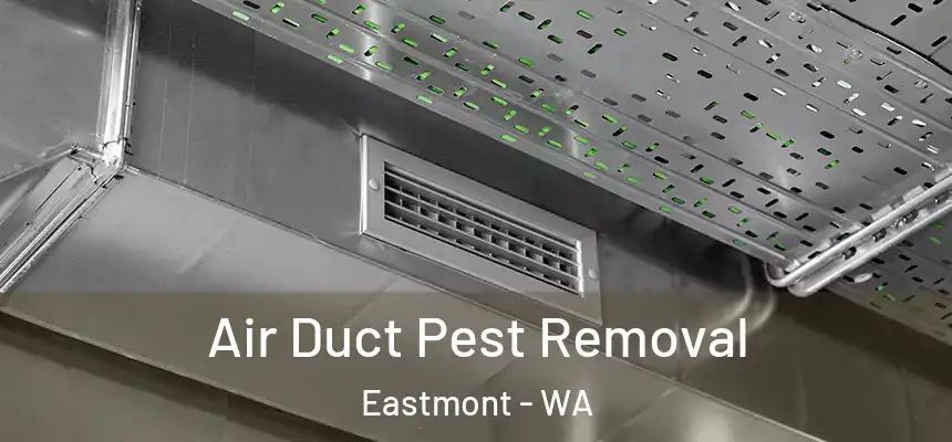  Air Duct Pest Removal Eastmont - WA