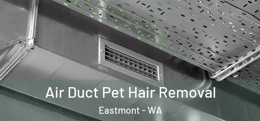  Air Duct Pet Hair Removal Eastmont - WA