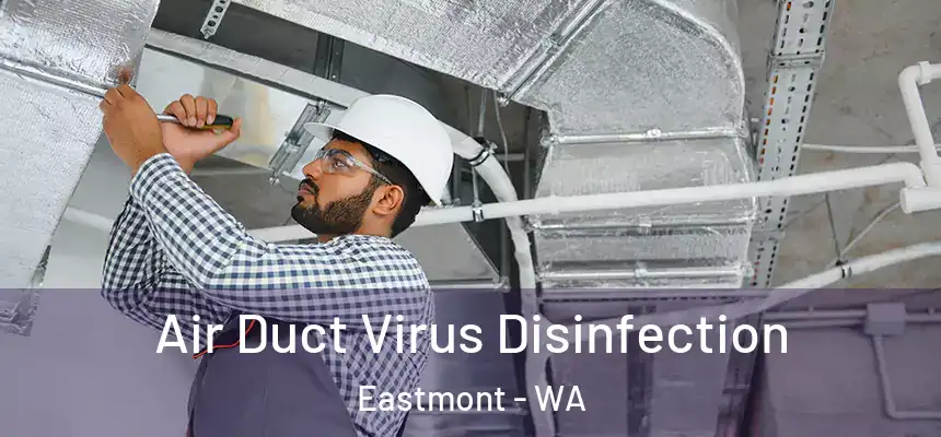  Air Duct Virus Disinfection Eastmont - WA