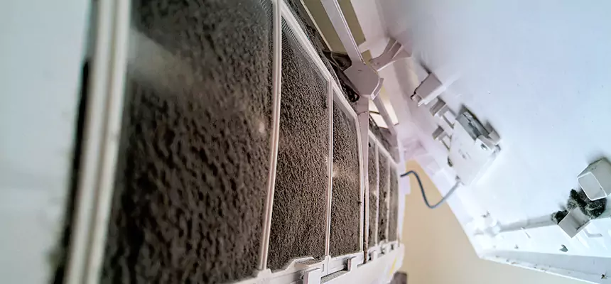 Preventive Air Duct Bacteria Removal in Eastmont