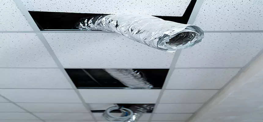 Our Air Duct Pet Hair Removal Services in Eastmont, WA