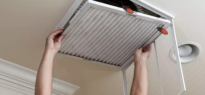 Our Insect Removal from Air Ducts Services in Eastmont, WA