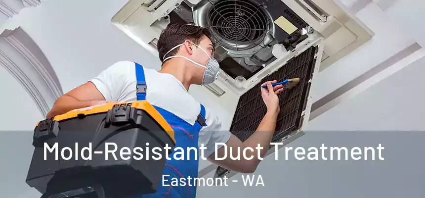  Mold-Resistant Duct Treatment Eastmont - WA