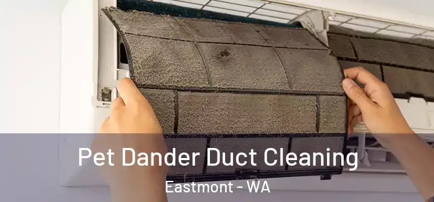  Pet Dander Duct Cleaning Eastmont - WA