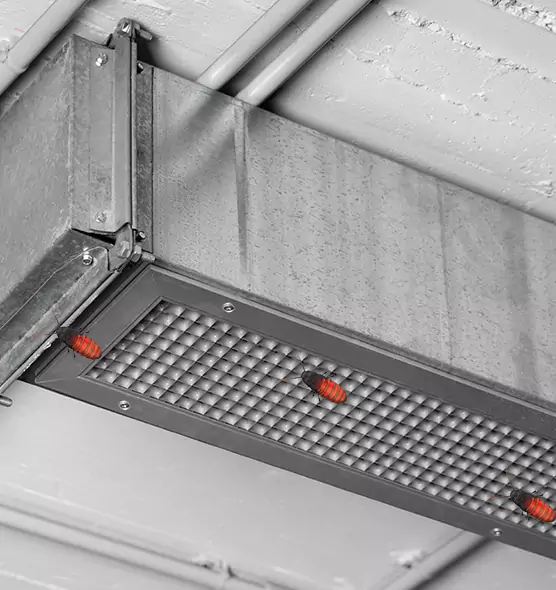 About Air Duct Cockroach Removal in Eastmont, WA