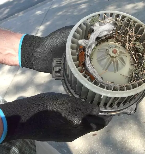 About Air Duct Mice Removal in Eastmont, WA