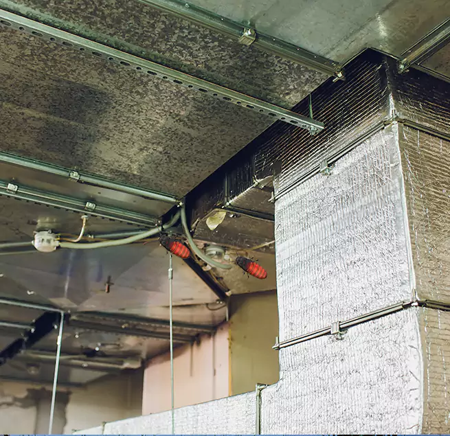 Why Homeowners & Businesses Trust Us Eastmont, WA?