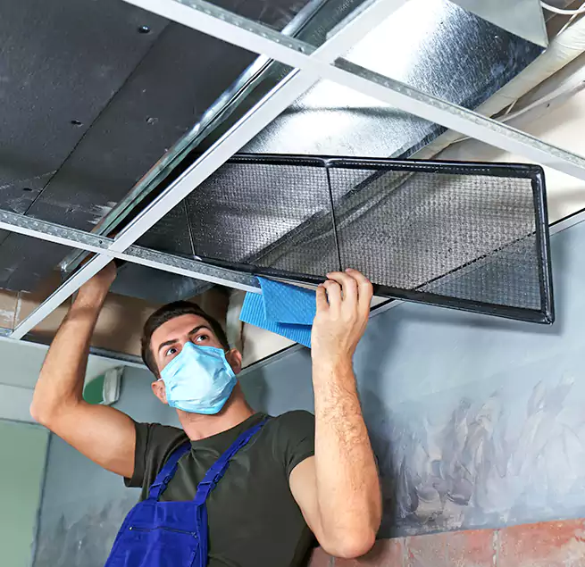 Why Homeowners Businesses Trust Us in Eastmont, WA